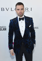 Sebastian Stan mug #G2430350