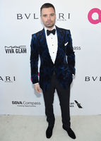 Sebastian Stan mug #G2430353