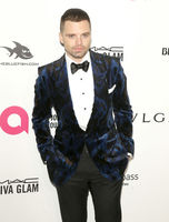 Sebastian Stan mug #G2430358