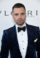 Sebastian Stan Sweatshirt #3813117