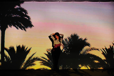 Selena Gomez Poster 2009029