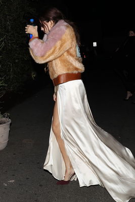 Selena Gomez posters