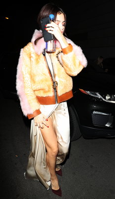 Selena Gomez posters