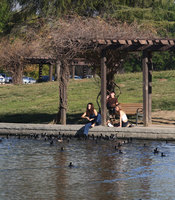 Selena Gomez tote bag #G1345737