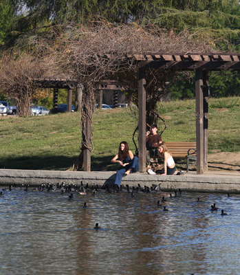 Selena Gomez posters