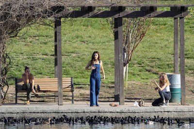 Selena Gomez posters