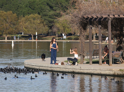 Selena Gomez posters