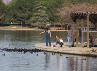 Selena Gomez tote bag #G1345773