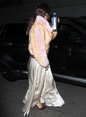 Selena Gomez posters