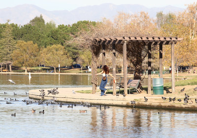 Selena Gomez posters