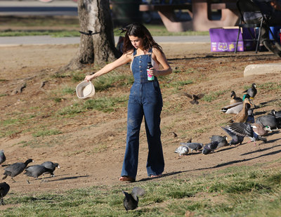 Selena Gomez posters