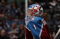 Semyon Varlamov hoodie #3557739