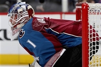 Semyon Varlamov hoodie #3557750