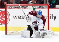 Semyon Varlamov mug #G1799984