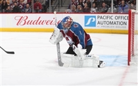 Semyon Varlamov mug #G1800115