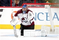 Semyon Varlamov tote bag #G1800127