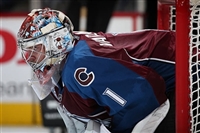 Semyon Varlamov mug #G1800151