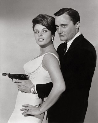 Senta Berger posters