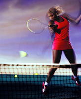 Serena Williams Sweatshirt #3320228