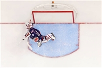 Sergei Bobrovsky tote bag #G1778399