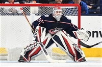 Sergei Bobrovsky mug #G1778415