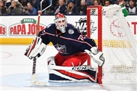 Sergei Bobrovsky mug #G1778427