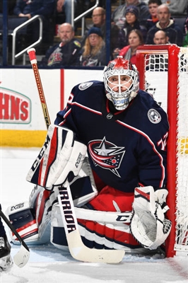 Sergei Bobrovsky Poster 3536202