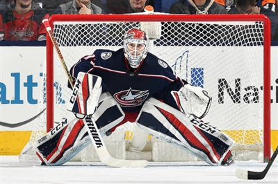 Sergei Bobrovsky Mouse Pad 3536219