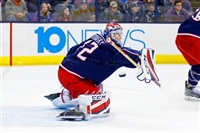 Sergei Bobrovsky magic mug #G1778453