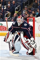 Sergei Bobrovsky magic mug #G1778455