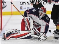 Sergei Bobrovsky mug #G1778460