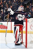 Sergei Bobrovsky mug #G1778462