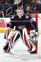 Sergei Bobrovsky mug #G1778464