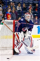 Sergei Bobrovsky magic mug #G1778465