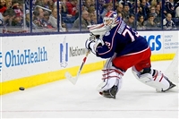 Sergei Bobrovsky magic mug #G1778477