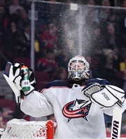 Sergei Bobrovsky mug #G1778506