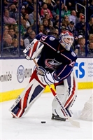 Sergei Bobrovsky magic mug #G1778518
