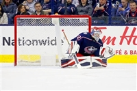 Sergei Bobrovsky magic mug #G1778521