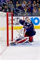 Sergei Bobrovsky magic mug #G1778525