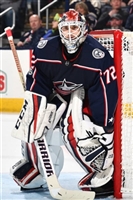 Sergei Bobrovsky mug #G1778532