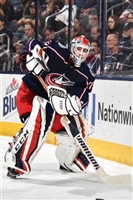 Sergei Bobrovsky mug #G1778557