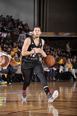 Seth Curry Poster 3386904