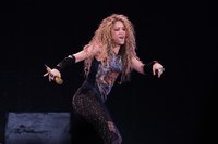 Shakira Sweatshirt #3316699