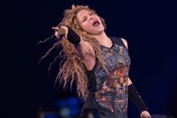 Shakira longsleeve t-shirt #3316721