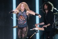 Shakira longsleeve t-shirt #3316753