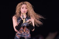 Shakira Longsleeve T-shirt #3316765