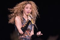 Shakira Longsleeve T-shirt #3316768