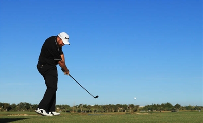Shane Lowry posters