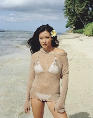 Shannen Doherty Poster 1246334