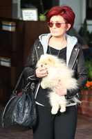 Sharon Osbourne Sweatshirt #2814183